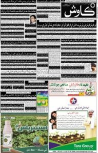 Daily Kawish Advertisement to target Sindh